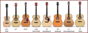 What Type of Body Does the Acoustic Guitar Have?