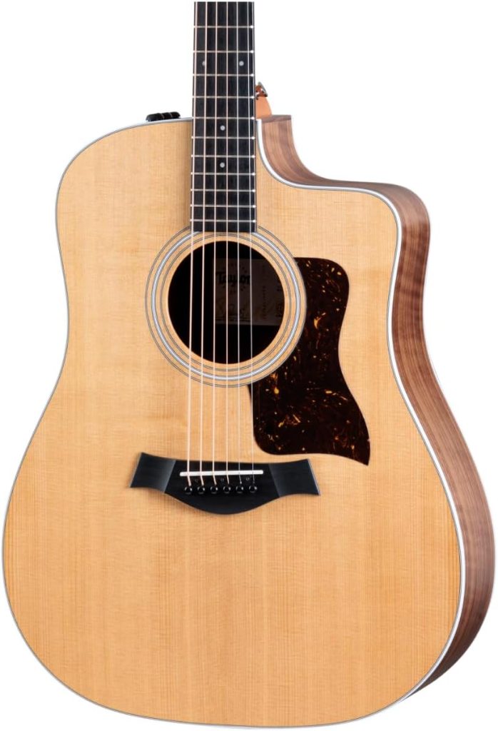 Taylor 210ce Dreadnought Review