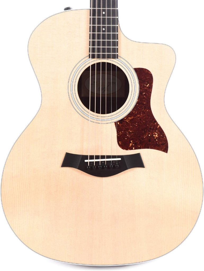 Taylor 214ce Grand Auditorium Review