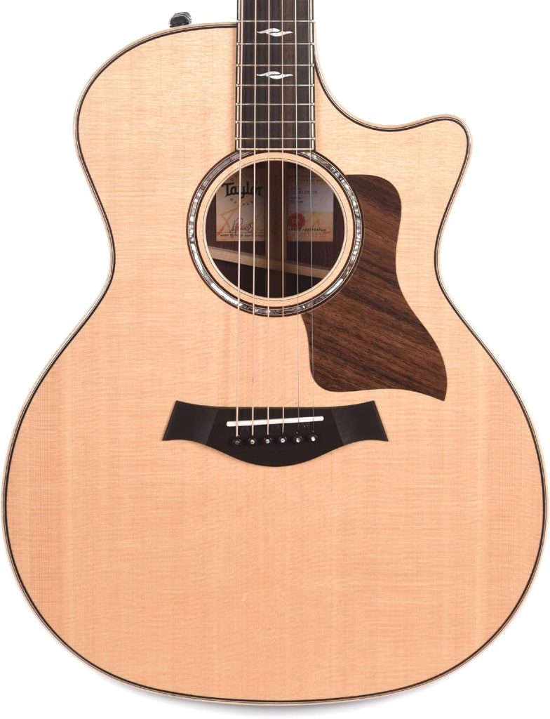 Taylor 814ce Grand Auditorium Review