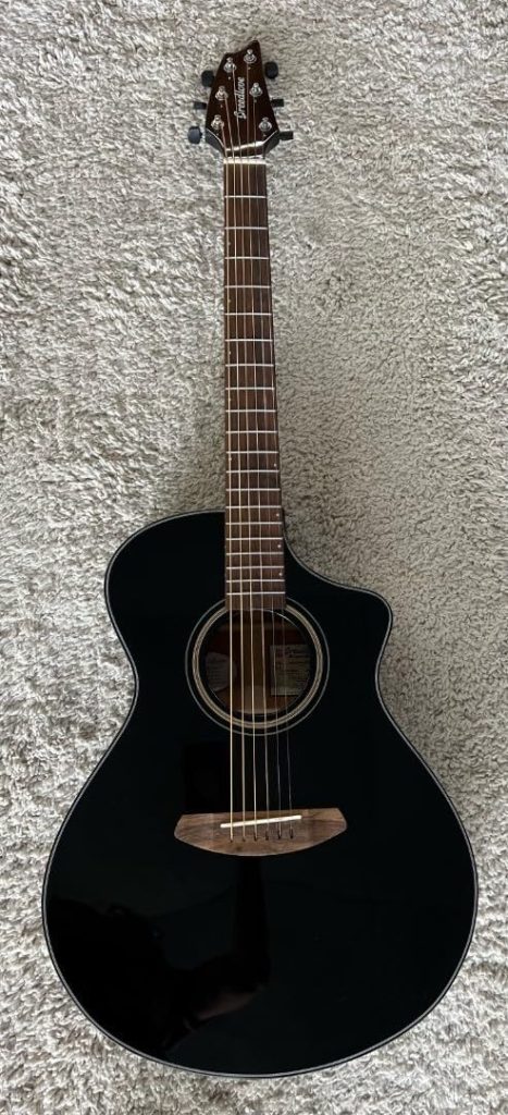 Breedlove Organic Signature Concert Review