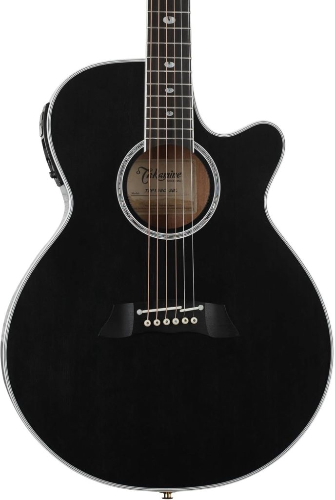 Takamine TSP-158C Guitar Review