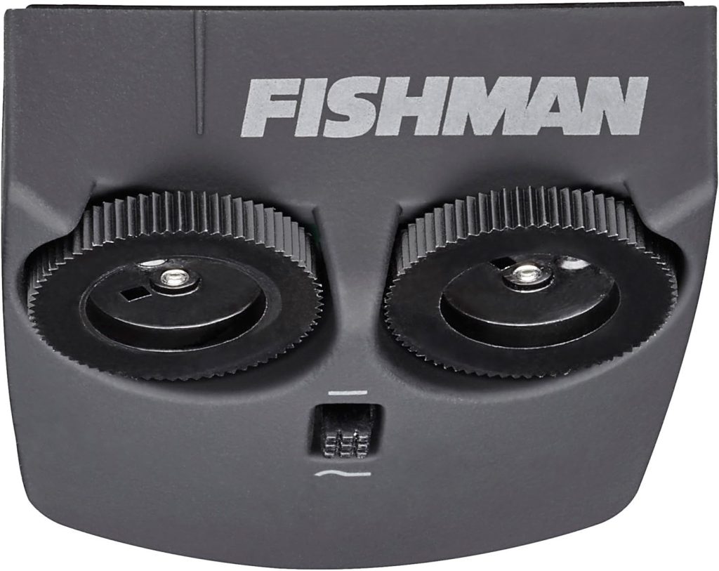 Fishman Matrix Infinity VT Acoustic Pickup Review