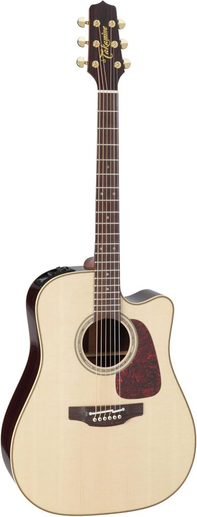 Takamine Pro Series 5 P5DC Review