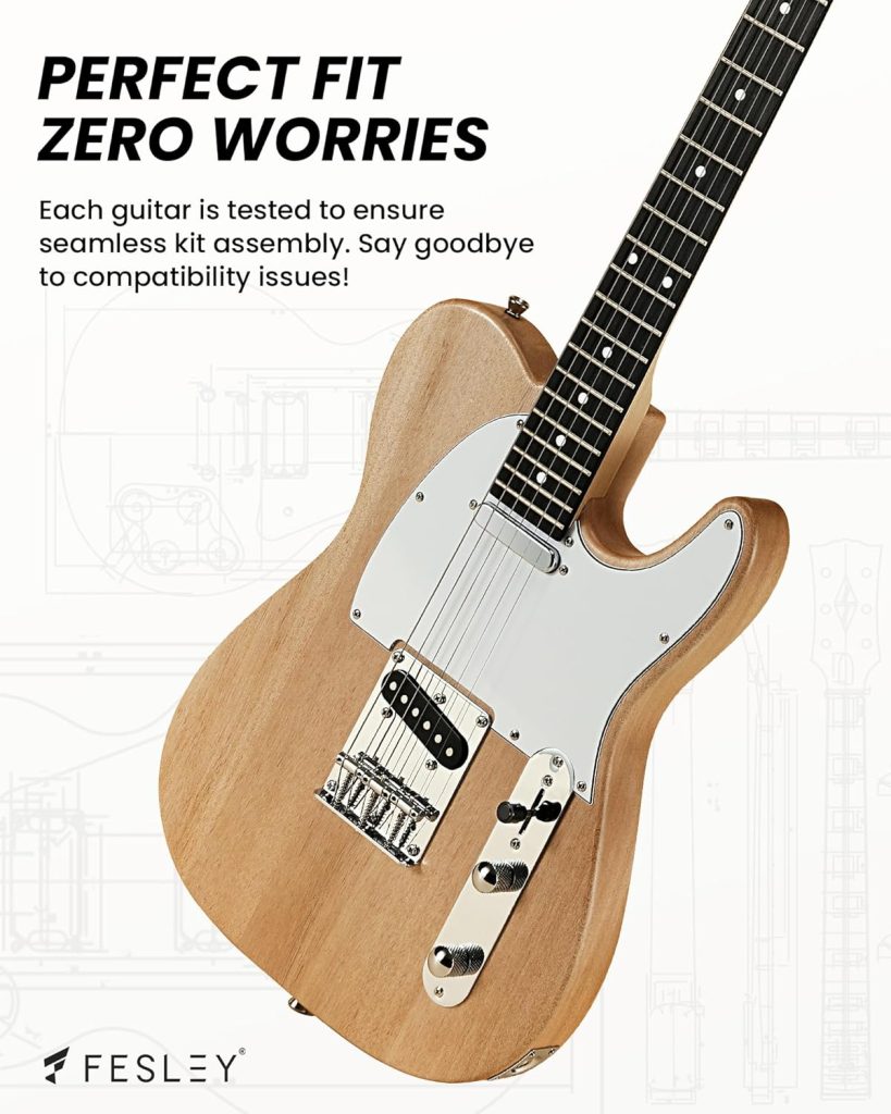 Fesley DIY Electric Guitar Review