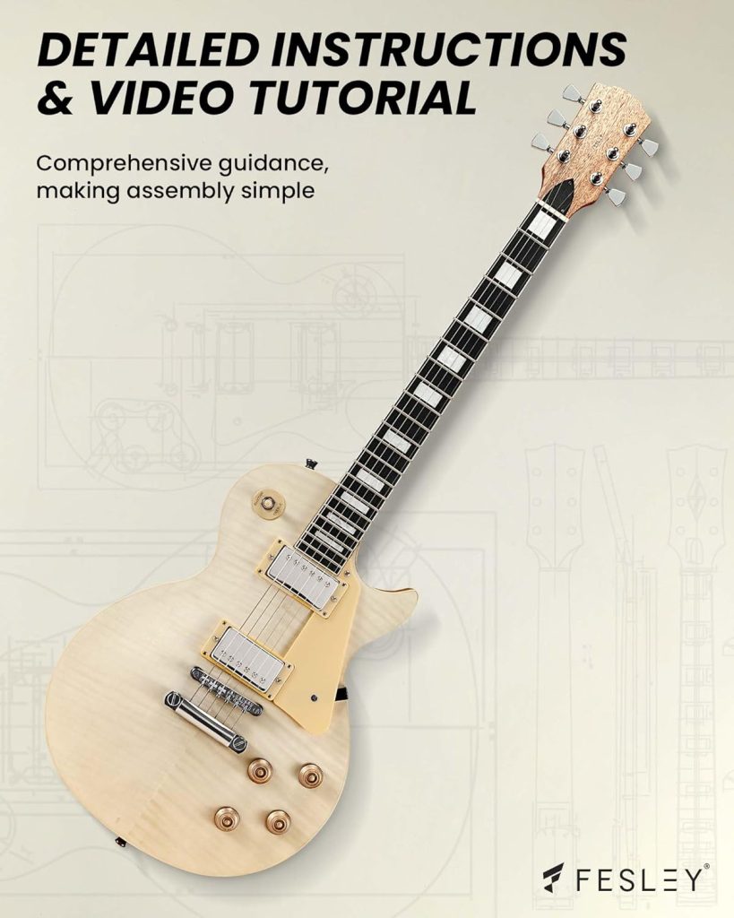 Fesley DIY LP Style Electric Guitar Review