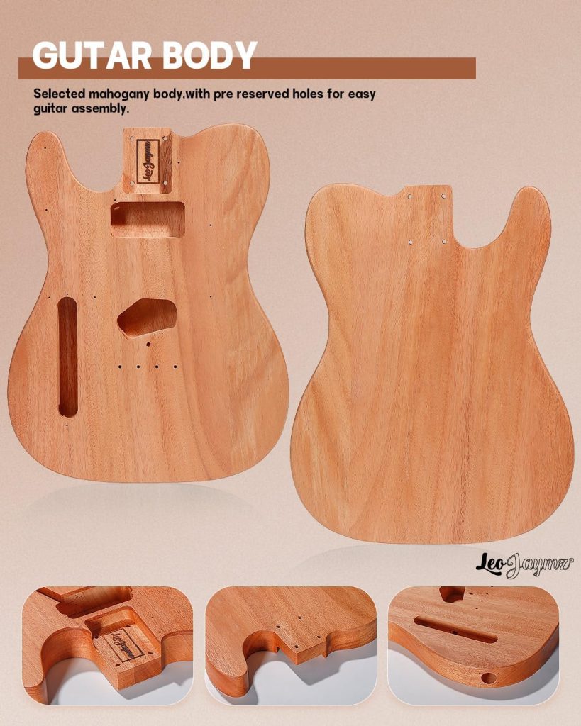 Leo Jaymz DIY ST Style Electric Guitar Review